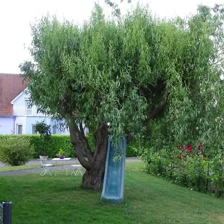 Tiny-house Casa vacanze *