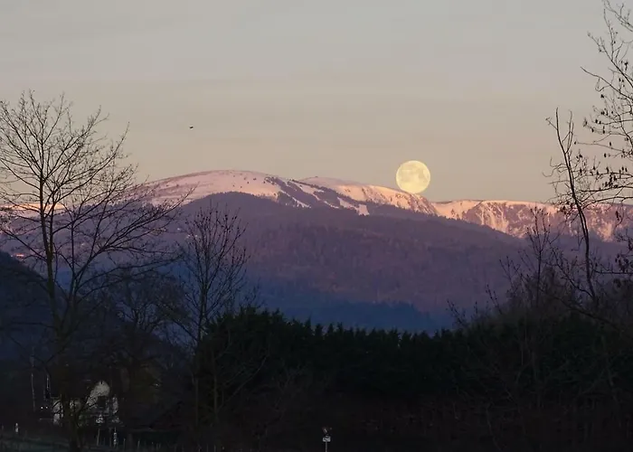Tiny-house Holiday home *