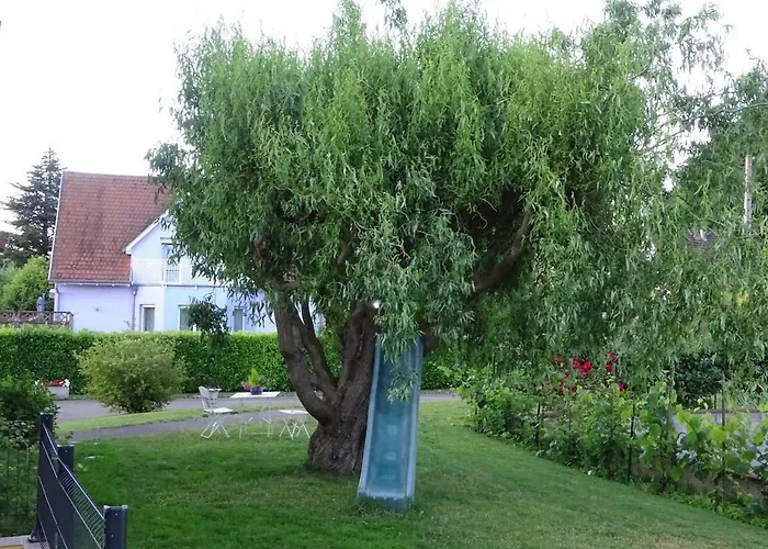 Tiny-house Holiday home *